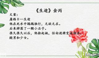 他与爱同罪电视剧